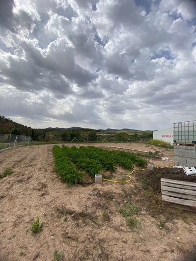 Image No.6-Property for sale