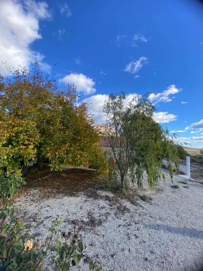 Image No.11-Propriété de 3 chambres à vendre à Velez Blanco