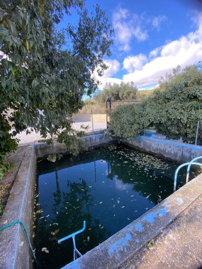 Image No.19-Propriété de 3 chambres à vendre à Velez Blanco