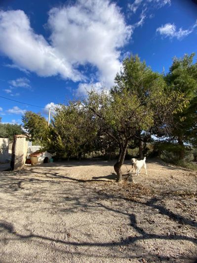 Image No.2-Propriété de 3 chambres à vendre à Velez Blanco