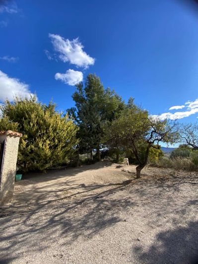 Image No.6-Propriété de 3 chambres à vendre à Velez Blanco
