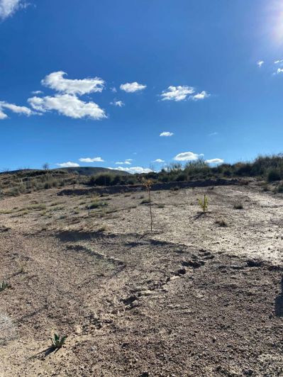 Image No.20-3 Bed Chalet for sale