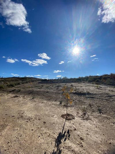 Image No.22-3 Bed Chalet for sale