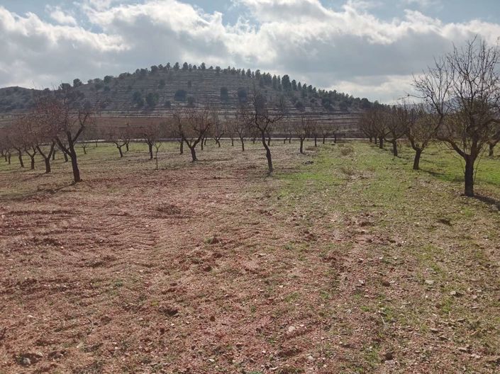 Image No.9-Finca de 1 chambre à vendre à Velez-Rubio