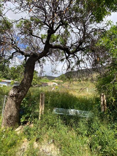 Image No.40-5 Bed Townhouse for sale