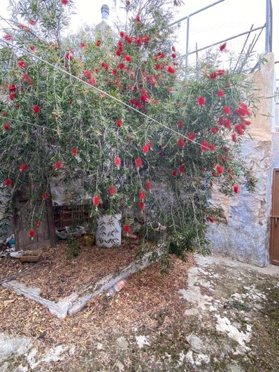 Image No.43-5 Bed Townhouse for sale