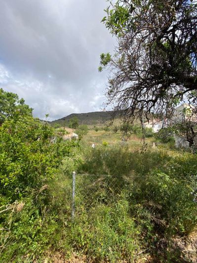 Image No.49-5 Bed Townhouse for sale