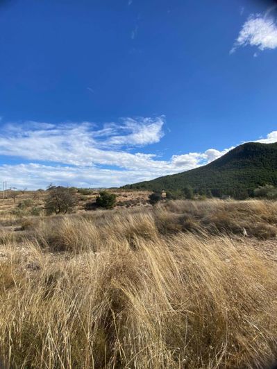 Image No.27-Finca à vendre à Velez-Rubio