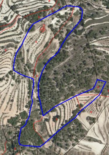 Image No.11-Finca for sale