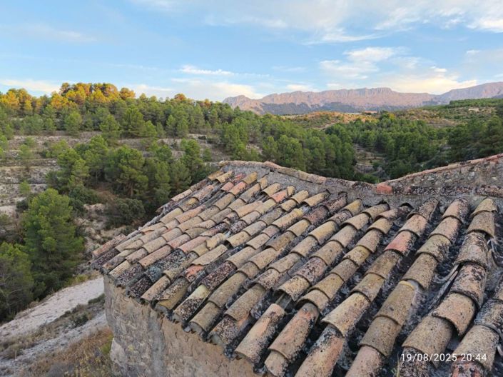 Image No.8-Finca for sale