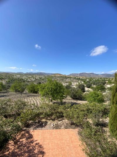 Image No.48-Propriété à vendre à Oria