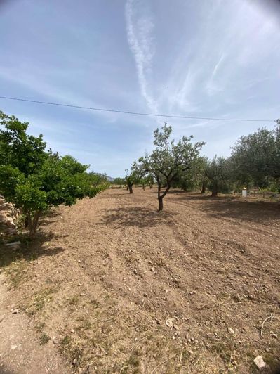 Image No.26-1 Bed Property for sale