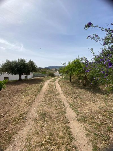 Image No.29-1 Bed Property for sale