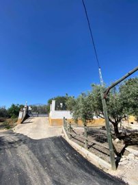 property262837607