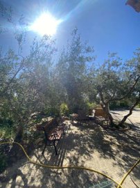 property262837209