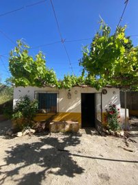 property262837429