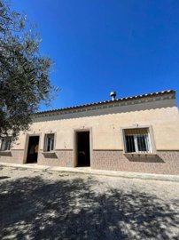 property261414422