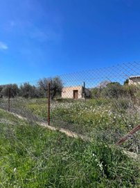 property261414790