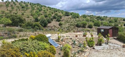property268201548