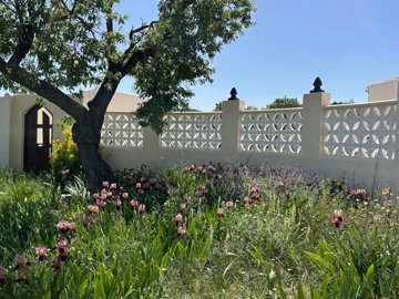 property272831366