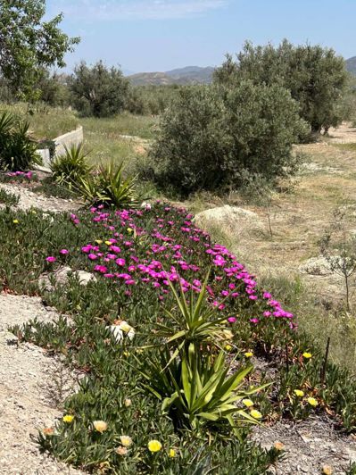Image No.5-7 Bed Villa for sale
