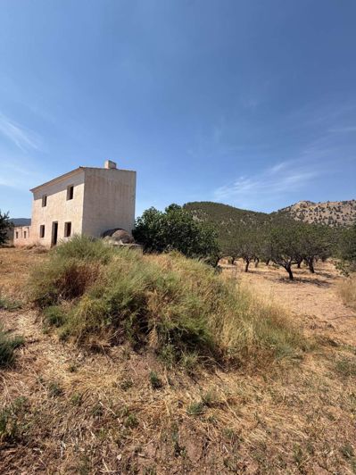 Image No.3-2 Bed Property for sale