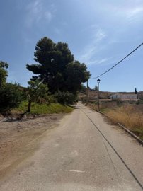 property272496750
