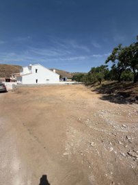 property272496305
