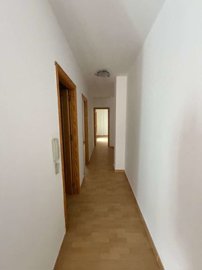 property273187700