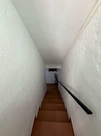 property279732750