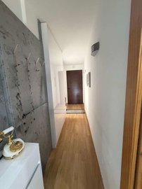 property279174945