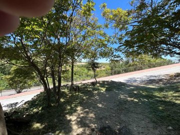 property269825250
