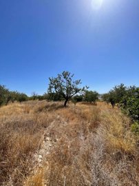 property28029941