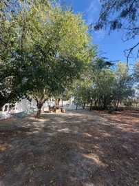 property280328548