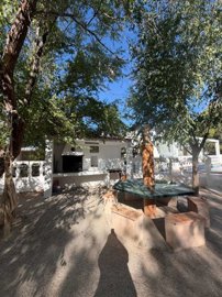 property280328166