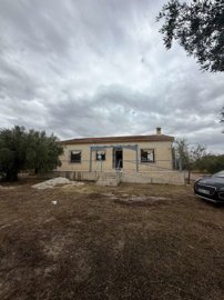 property281294285