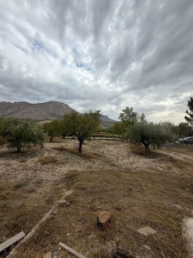 Image No.3-3 Bed Property for sale