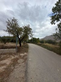 property281294757