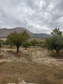 property28129431