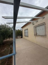 property281294686
