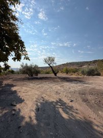property280680459