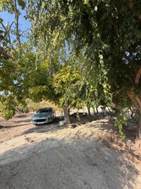 property280680701