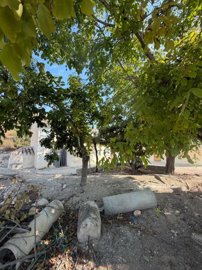 property280680242