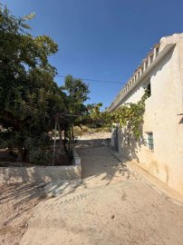 property280680356