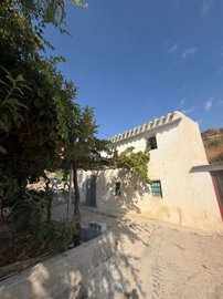 property280680896