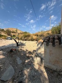 property280680774