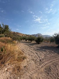 property280680434