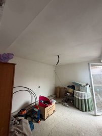 property281046490