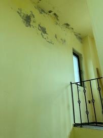 IMG-20230511-WA0008