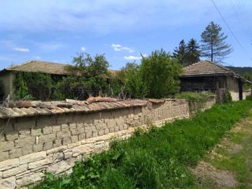 PAUGA-20221207121318